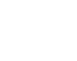 T2